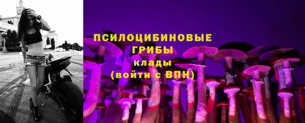 метадон Алексеевка