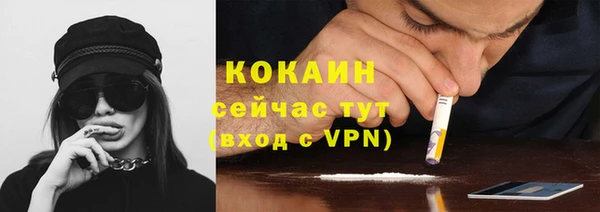 шишки Алексин