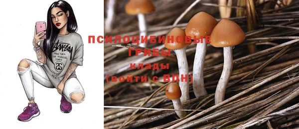 экстази Армянск